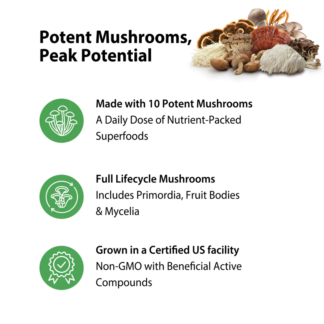 10 Mushroom Power Complex, 60 Vegan Capsules - Image 3