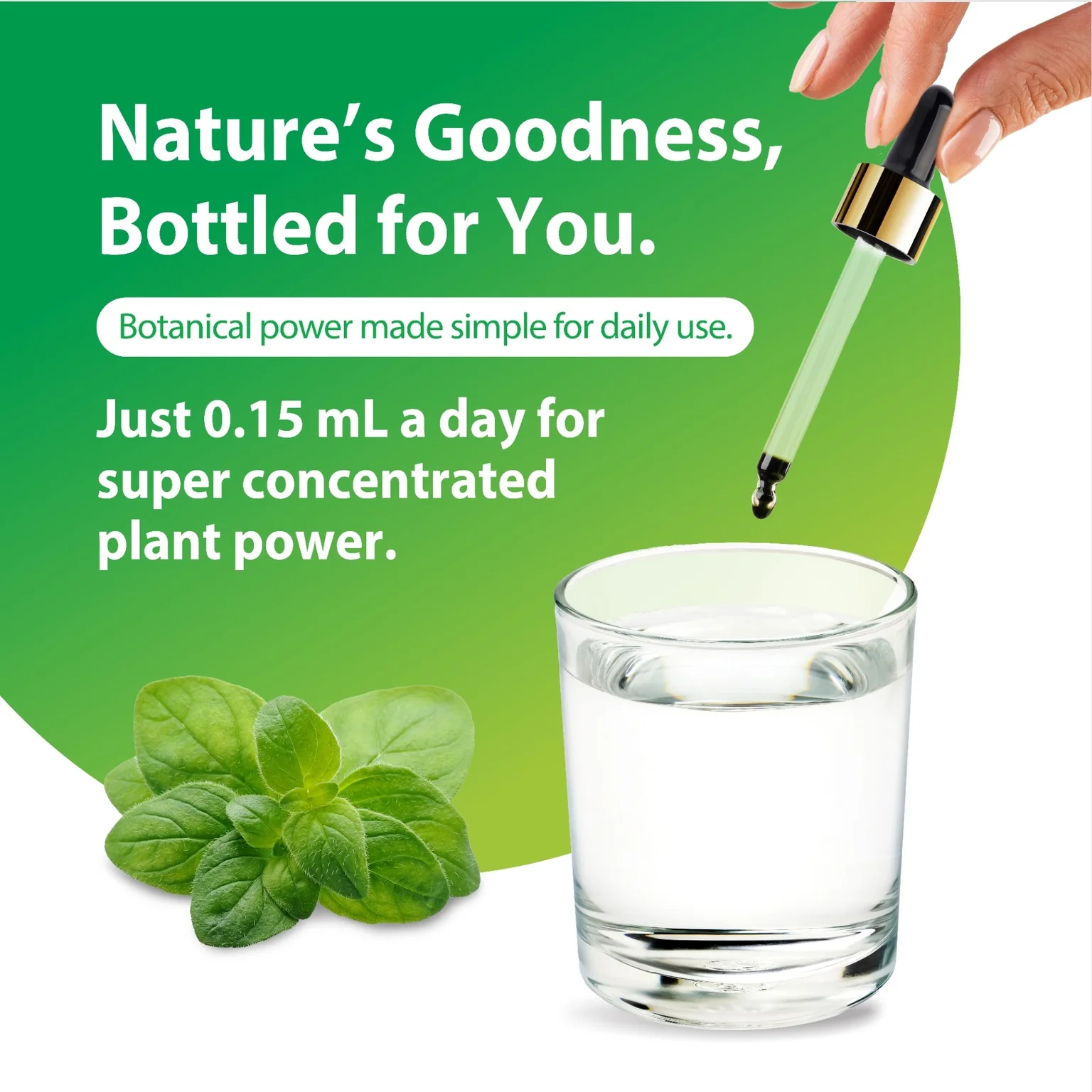 Oil of Oregano Liquid Extract Alcohol Free (Organic), 2 fl oz (59 mL) Liquid - Image 4